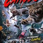 Catnado-2022-Film-Online-Subtitrat-in-Romana