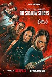 Nume de cod 13 The Shadow Strays 2024 Film Online Subtitrat in Romana online subtitrat in romana