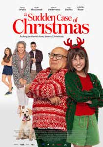 A Sudden Case of Christmas 2024 Film Online Subtitrat in Romana online subtitrat in romana