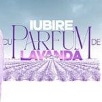 Iubire-cu-parfum-de-lavanda-2024-Serial-Romanesc-Online-Vizioneaza-Gratuit