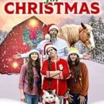 Parents-for-Christmas-2024-Film-Online-Subtitrat-in-Romana