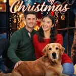 Tails-of-Christmas-2024-Film-Online-Subtitrat-in-Romana