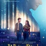 White-Bird-2024-Film-Online-Subtitrat-in-Romana