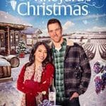 Un-Craciun-la-Podgorie-A-Vineyard-Christmas-2023-Film-Online-Subtitrat