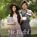 Domnul-Perfect-Mr.-Right-2023-Film-Online-Subtitrat-in-Romana