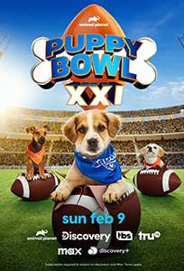 Puppy Bowl XXI 2025 Film Online Subtitrat in Romana online subtitrat in romana