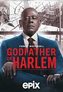 Godfather of Harlem 2019 Serial Online Subtitrat in Romana online subtitrat in romana