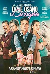 Dove osano le cicogne 2025 Film Online Subtitrat in Romana online subtitrat in romana