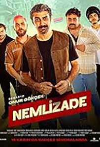 Nemlizade 2024 Film Online Subtitrat in Romana online subtitrat in romana