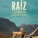 Printre-stanci-si-nori-Raiz-2024-Film-Online-Subtitrat-in-Romana