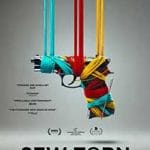 Sew-Torn-2024-Film-Online-Subtitrat-in-Romana