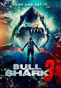 Bull Shark 3 2024 Film Online Subtitrat in Romana online subtitrat in romana
