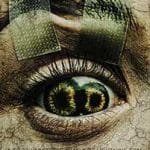 Never-Blink-2025-Film-Online-Subtitrat-in-Romana