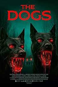 The Dogs 2025 Film Online Subtitrat in Romana online subtitrat in romana