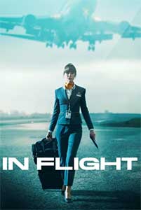 In Flight 2025 Serial Online Subtitrat in Romana online subtitrat in romana