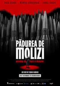 Padurea de molizi 2025 Film Romanesc Online Vizioneaza Gratuit online subtitrat in romana